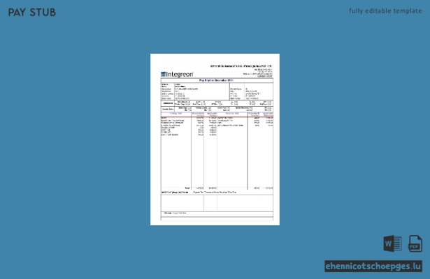 India Integron Managed Solutions Pvt. Ltd. – Beispielvorschau